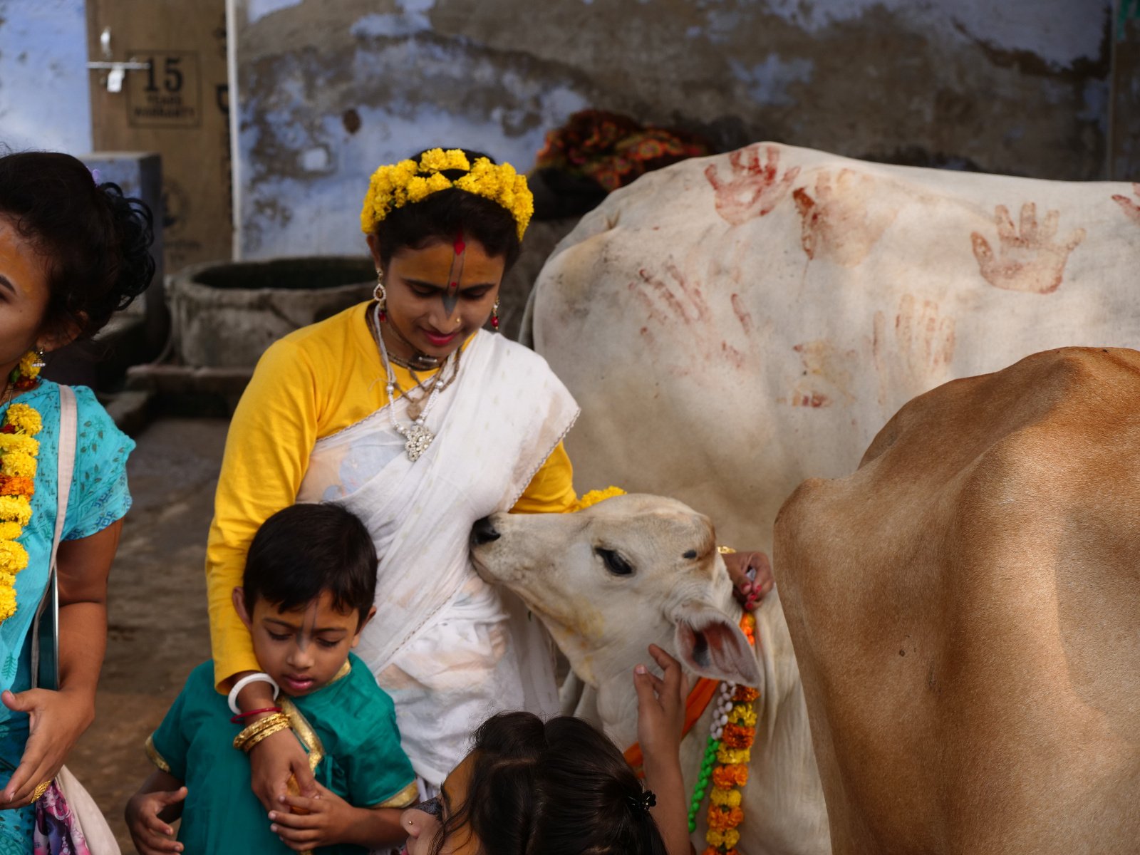  115 Gopashtami Radha kunda Govardhan 19.11.04